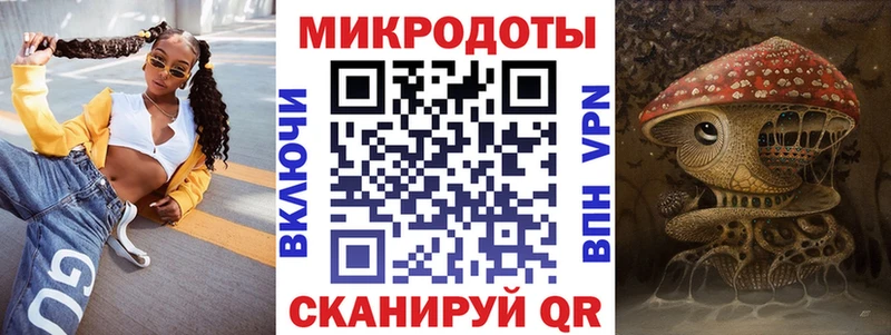 Псилоцибиновые грибы Psilocybe  Купить закладки  Миасс 